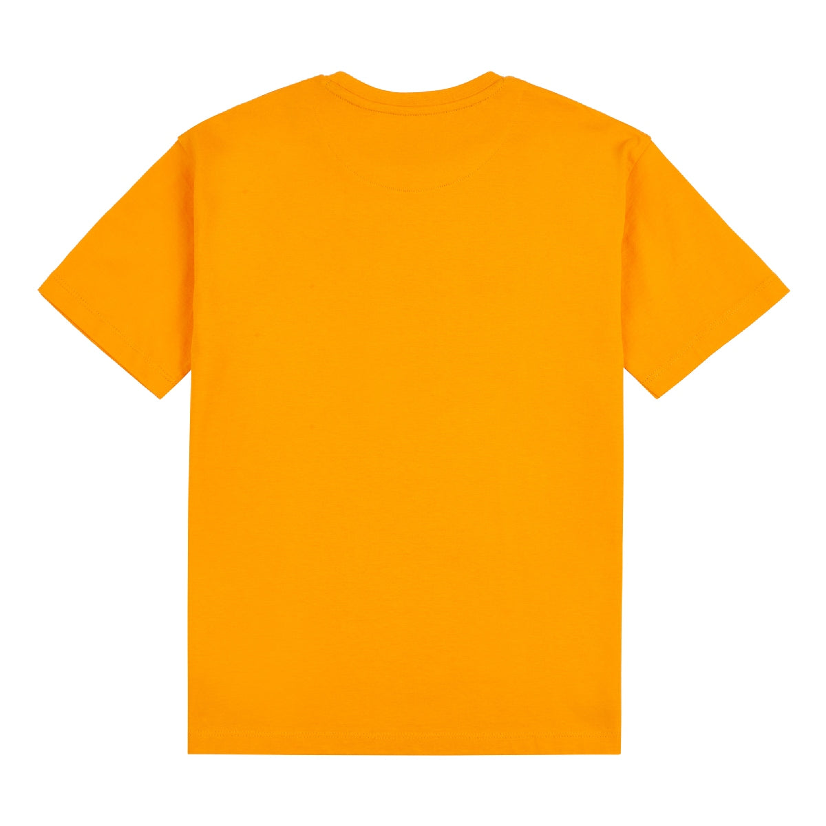 Penguin Boys Collegiate Logo T-Shirt PGN1003C03